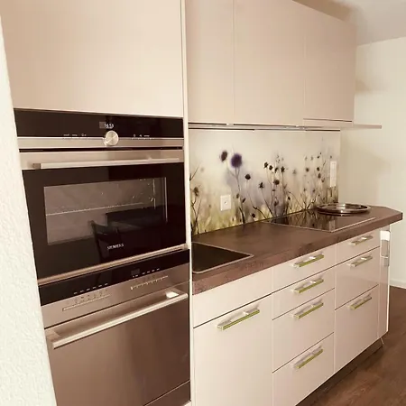 Sophia Hotel Gerra (Locarno)