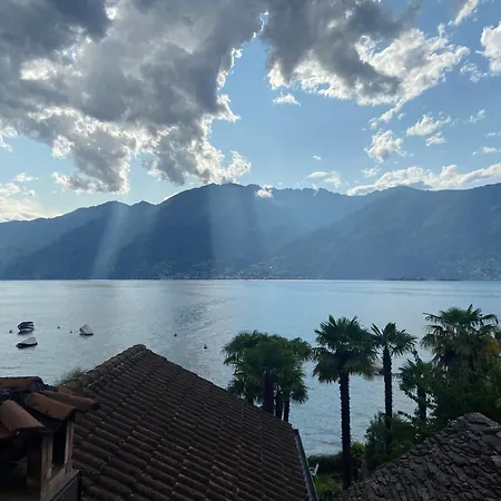 Sophia Gerra (Locarno)