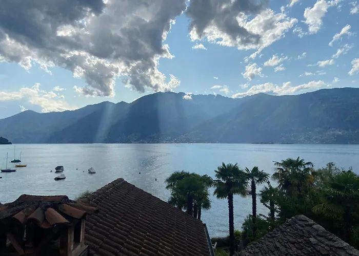 Sophia Gerra (Locarno)